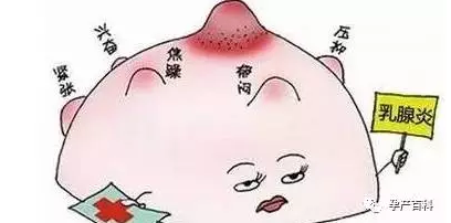 哺乳期乳腺炎，慎用抗生素！