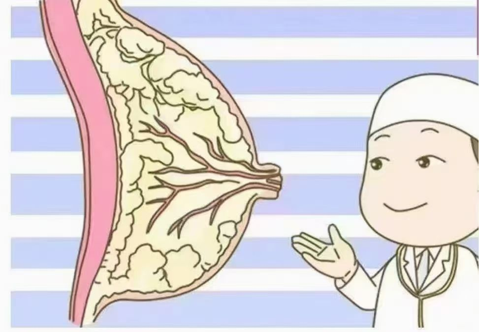 6步疏通奶結(jié)，告別乳房脹痛，月嫂必學(xué)！