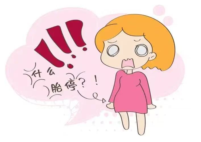 為什么孕媽“胎停”越來(lái)越常見(jiàn)？多半與以下4個(gè)因素有關(guān)！